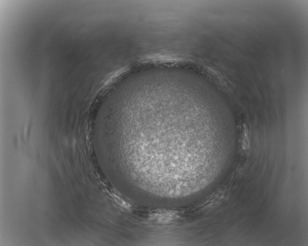 X0000080181157200612151941