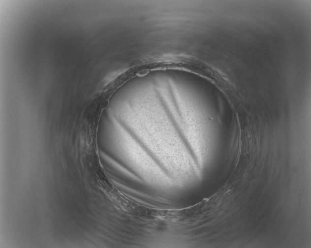 X0000080181158200612151941