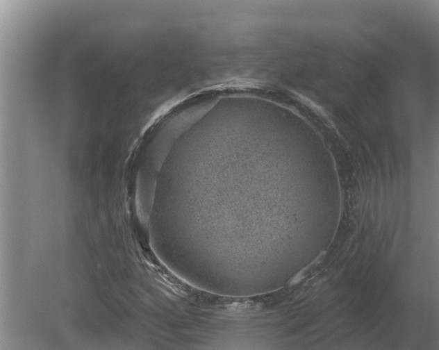 X0000080181160200612151941