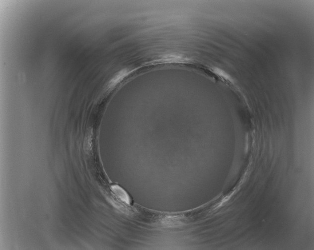 X0000080181161200612151941