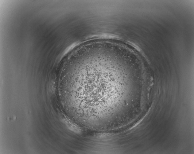 X0000080181163200612151941