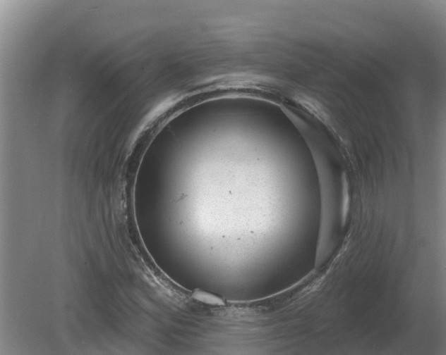 X0000080181164200612151941