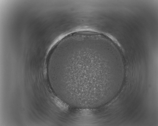 X0000080181167200612151941