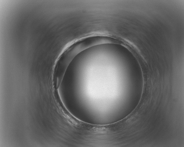 X0000080181168200612151941