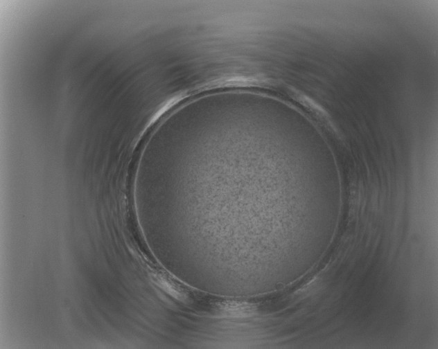 X0000080181170200612151941