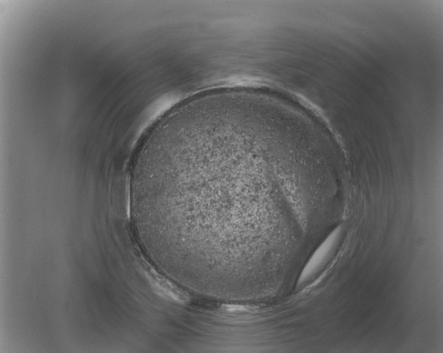 X0000080181171200612151941