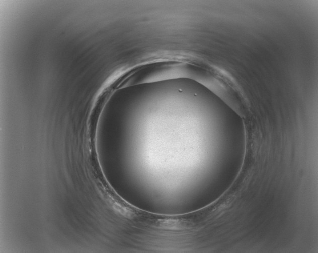 X0000080181172200612151941