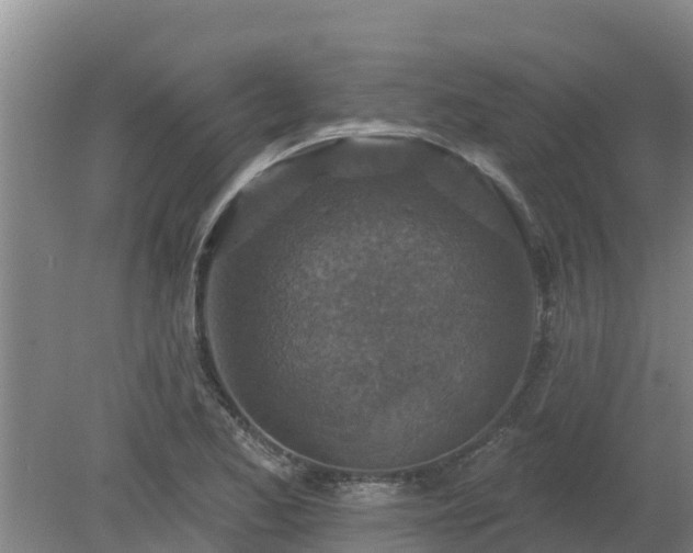 X0000080181173200612151941