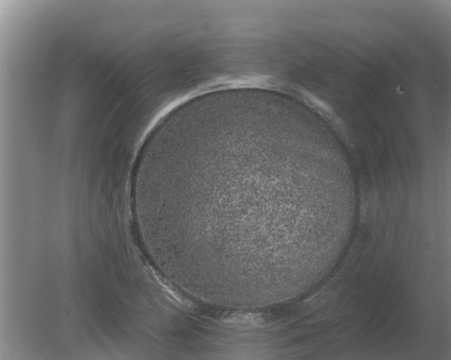 X0000080181174200612151941