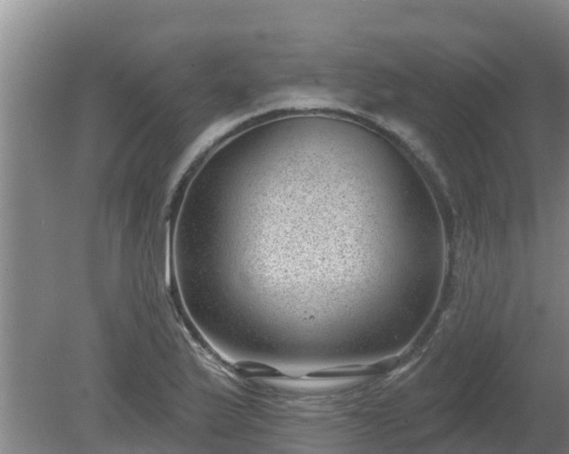 X0000080181175200612151941