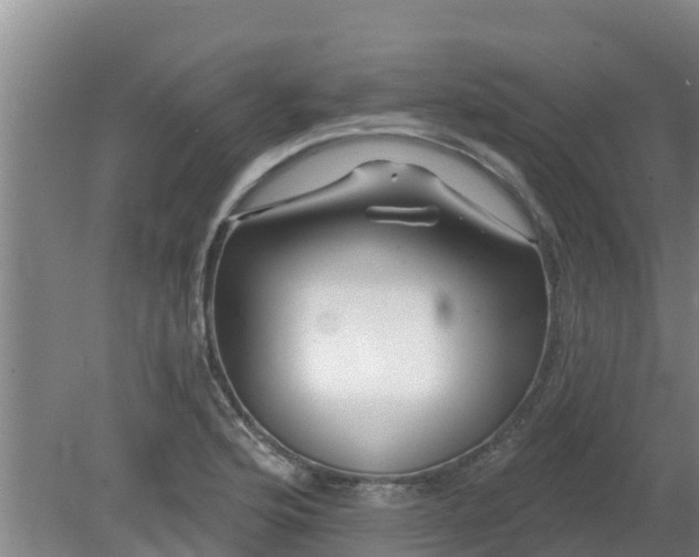 X0000080181176200612151941