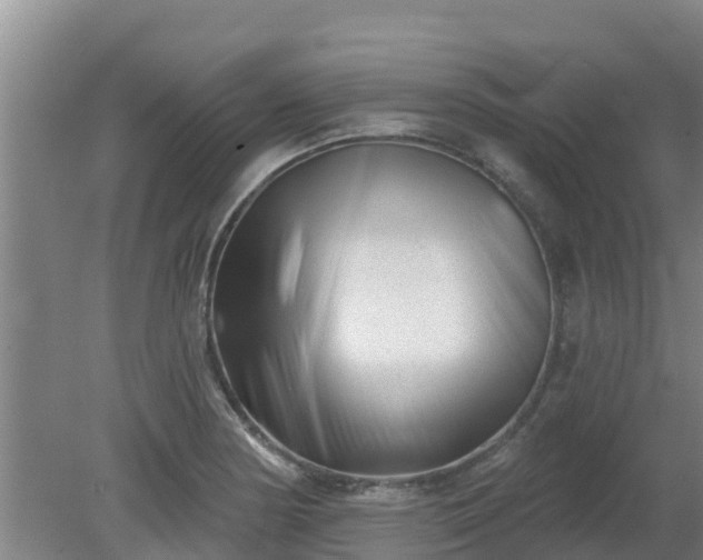 X0000080181178200612151940