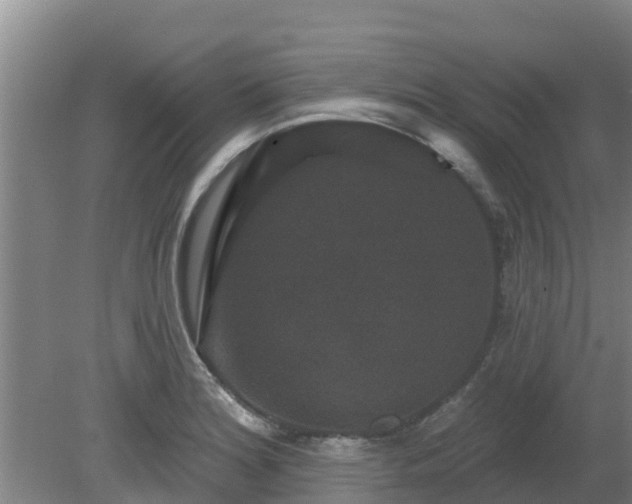 X0000080181180200612151940