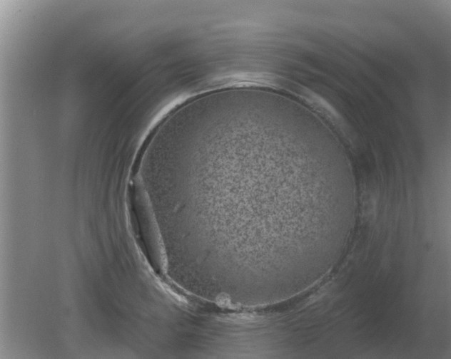 X0000080181182200612151940