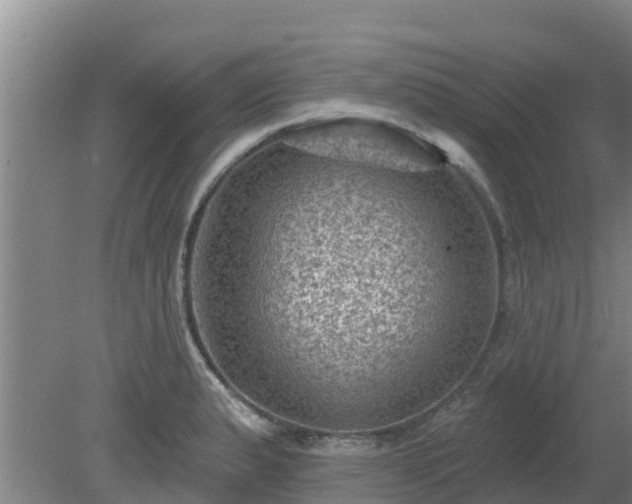 X0000080181183200612151940