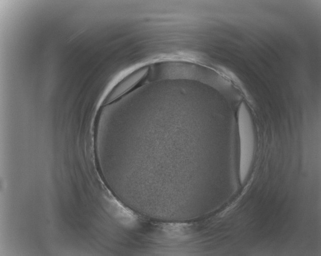 X0000080181184200612151940