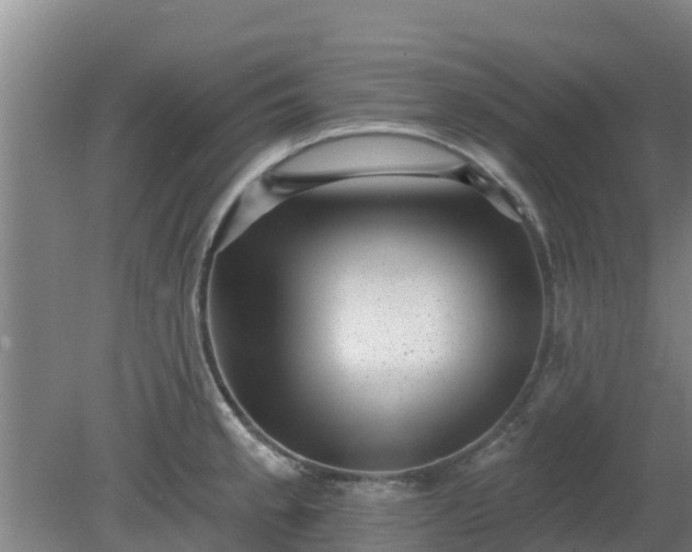 X0000080181189200612151940