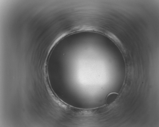 X0000080181190200612151940