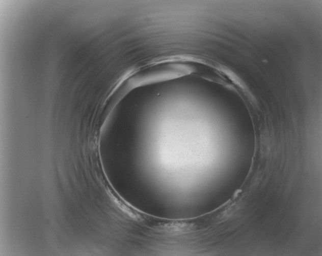 X0000080181193200612151940