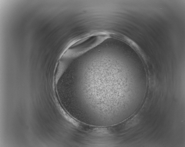 X0000080181194200612151940