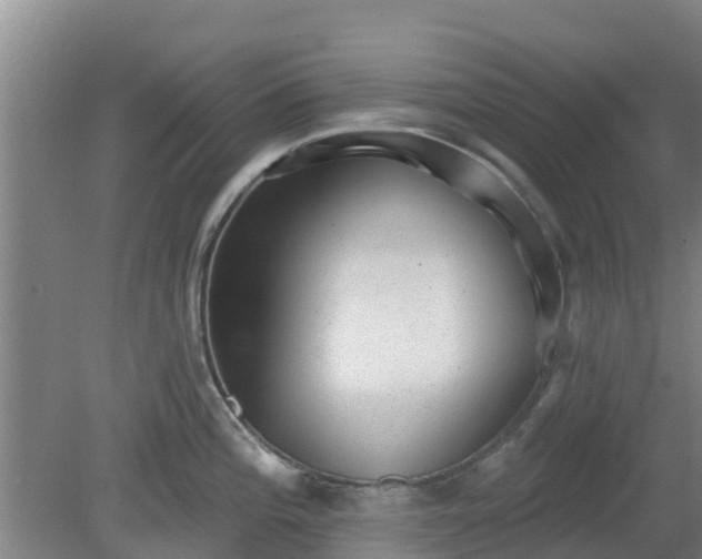 X0000080181196200612151940