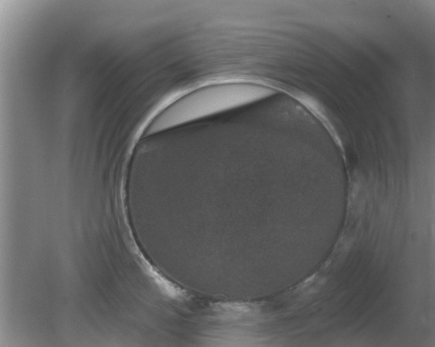 X0000080181197200612151940