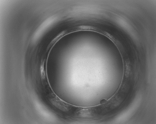 X0000080181198200612151940