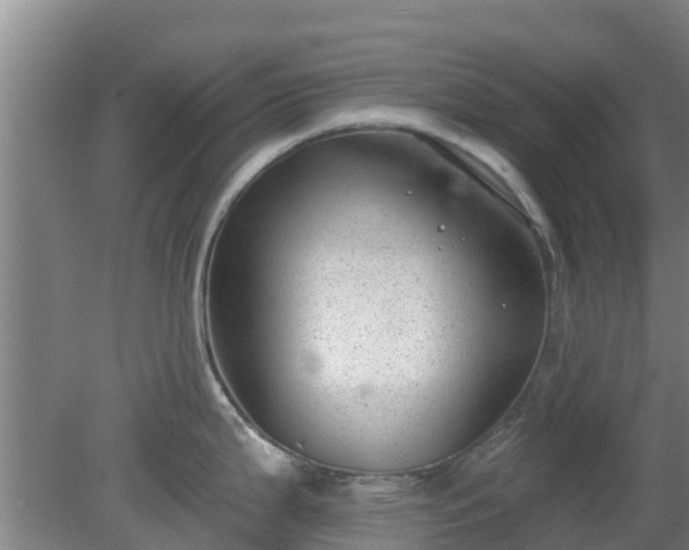 X0000080181199200612151940