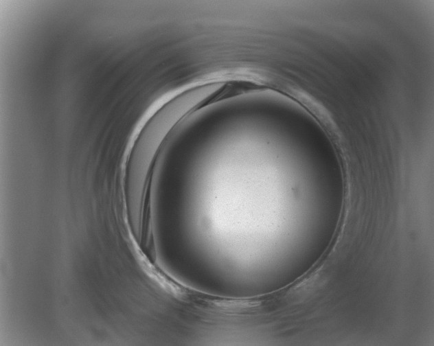 X0000080181200200612151940