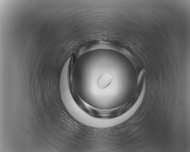 X0000080181202200612151939