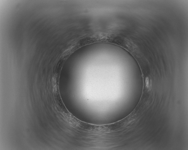 X0000080181203200612151939