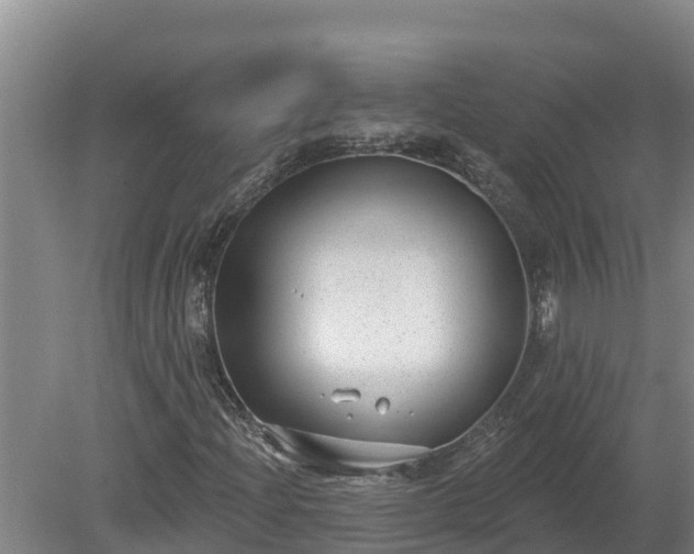 X0000080181204200612151939