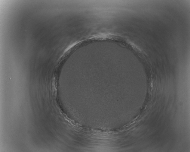 X0000080181206200612151939