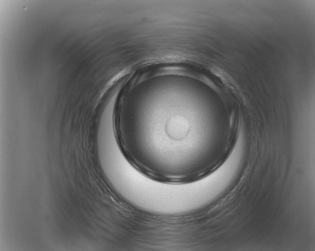 X0000080181210200612151939