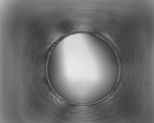 X0000080181211200612151939