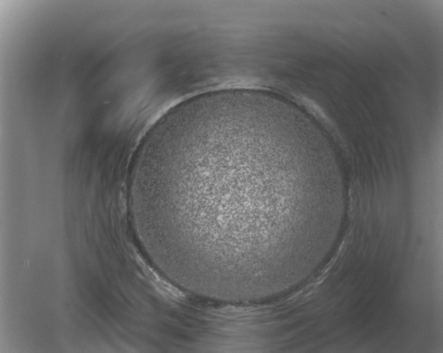 X0000080181212200612151939