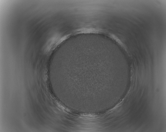 X0000080181213200612151939