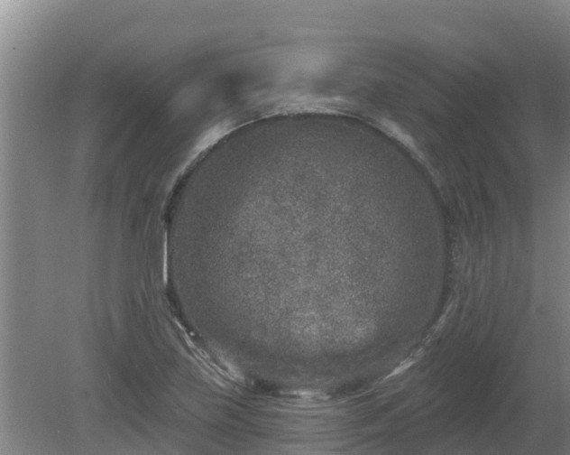 X0000080181219200612151940