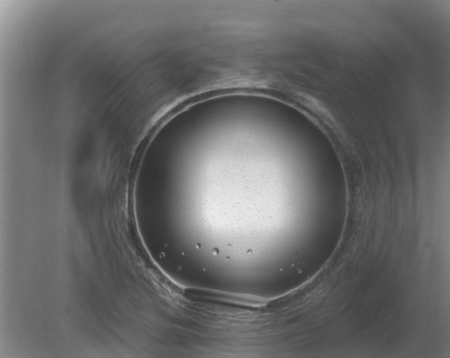 X0000080181220200612151940