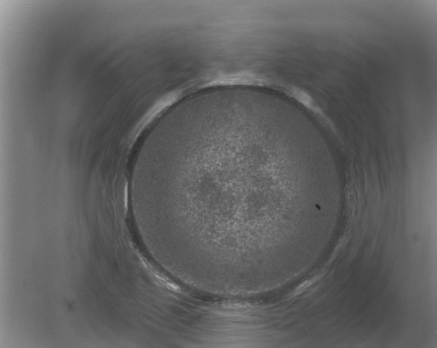 X0000080181221200612151940