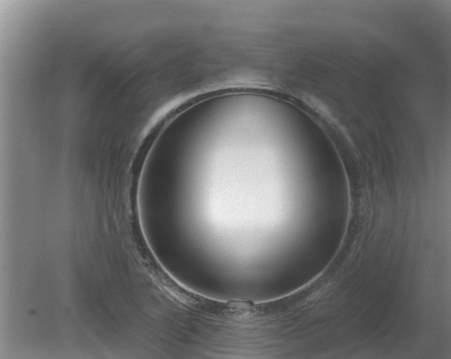 X0000080181222200612151940