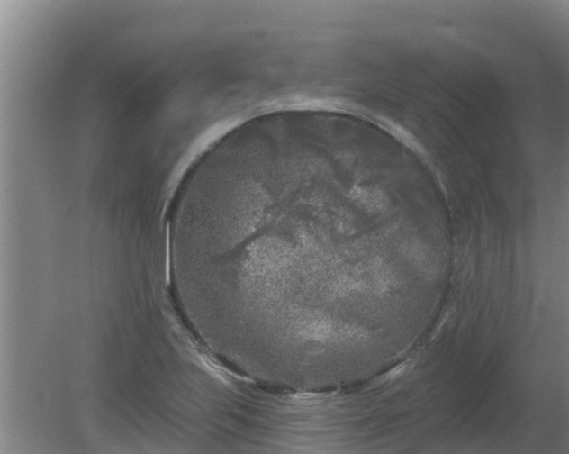 X0000080181223200612151940