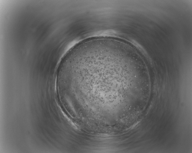 X0000080181224200612151940