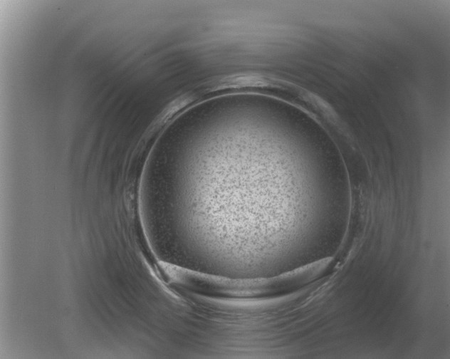 X0000080181225200612151940