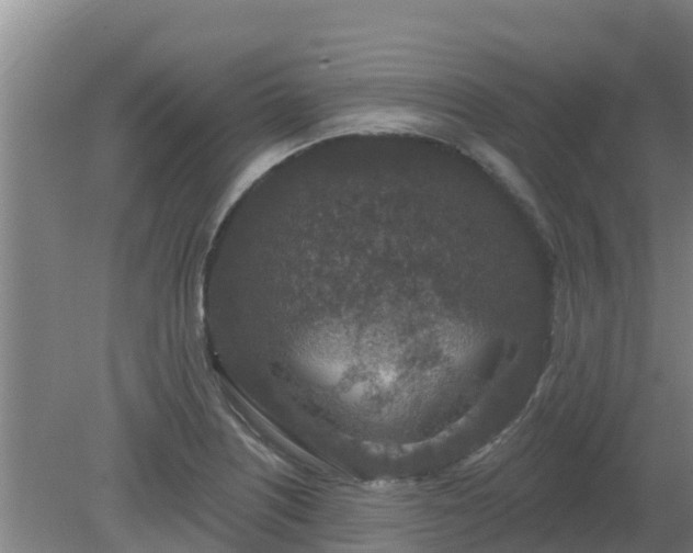 X0000080181226200612151940