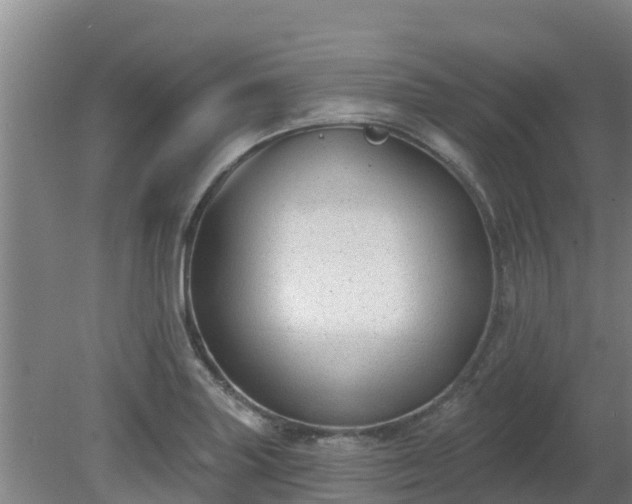 X0000080181227200612151940