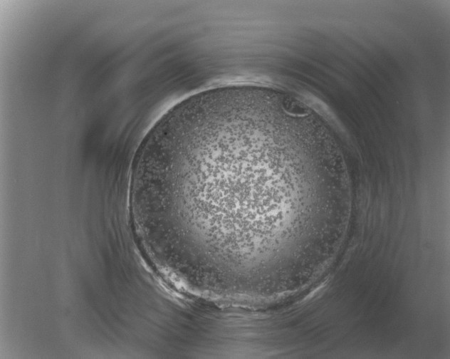 X0000080181228200612151940