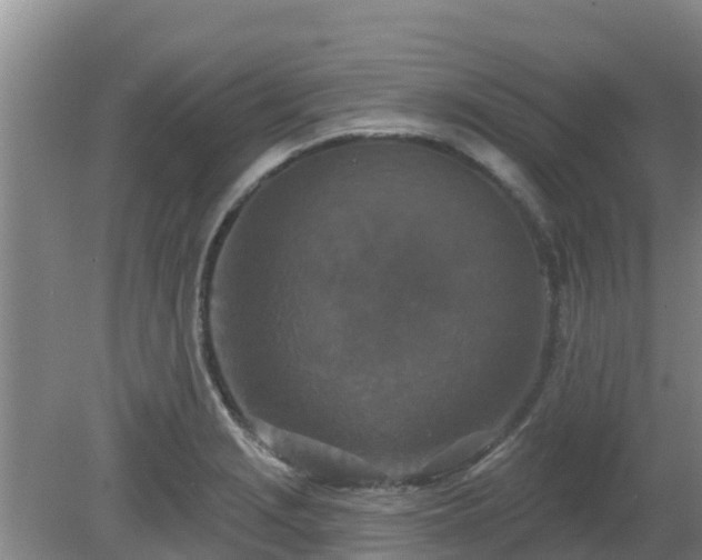 X0000080181229200612151940