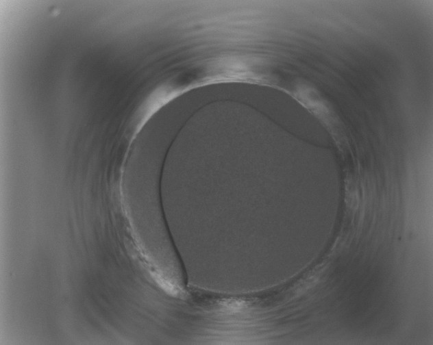 X0000080181230200612151940