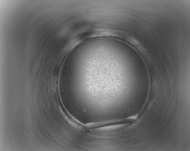 X0000080181233200612151940